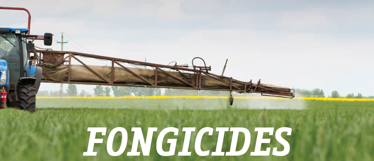 fongicides